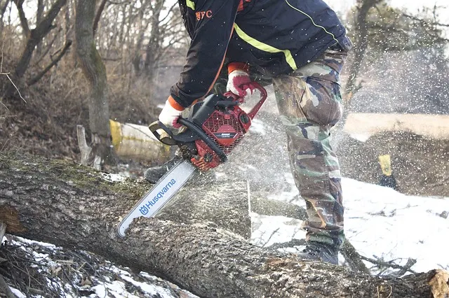 Chainsaw
