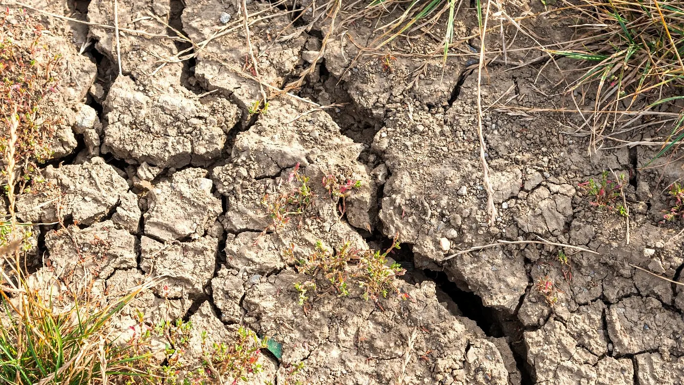 Broken soil