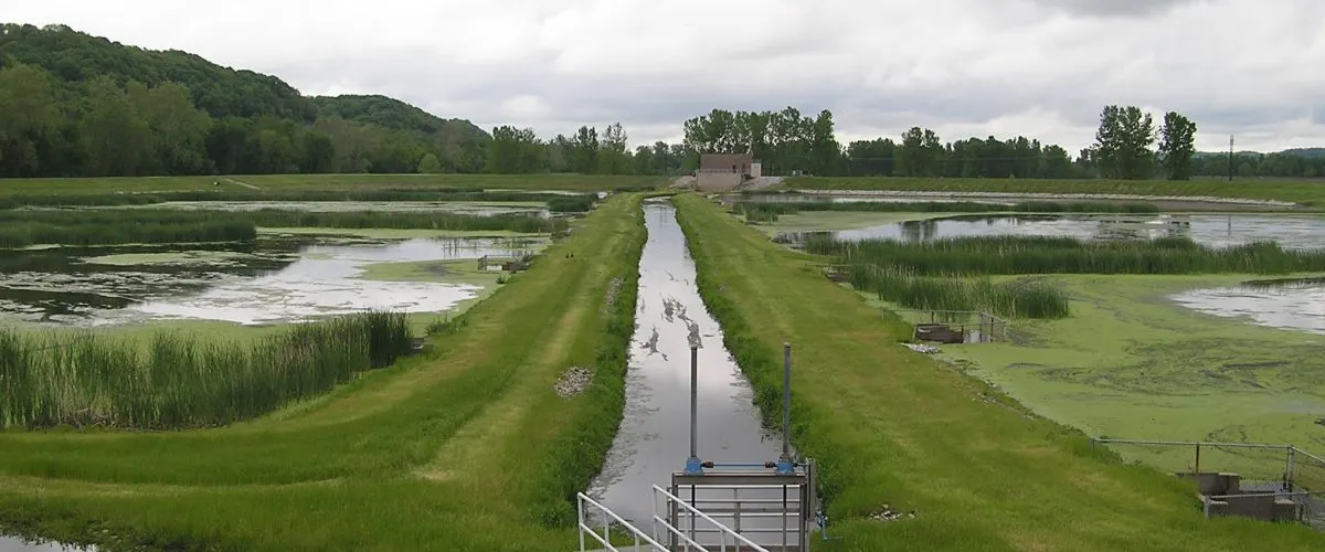 Constructed wetland