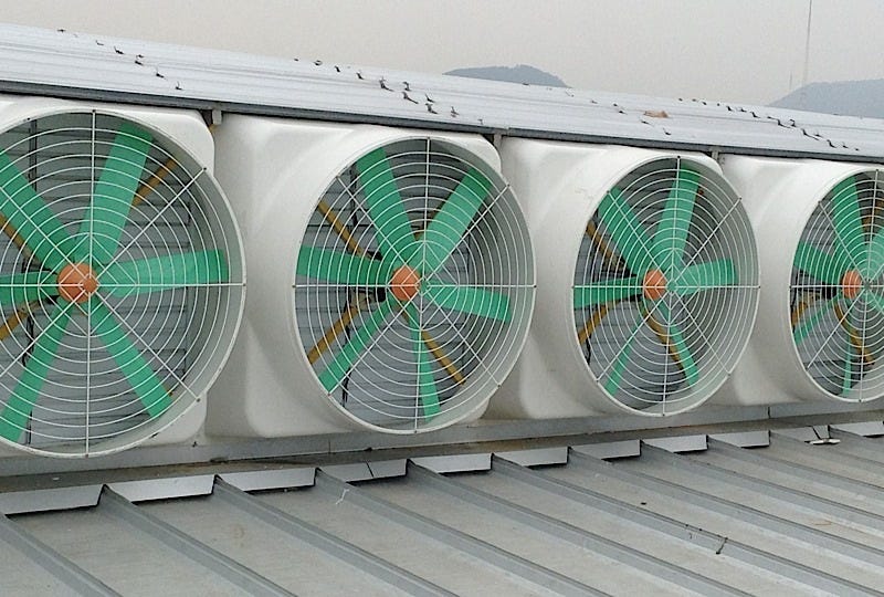 Fans