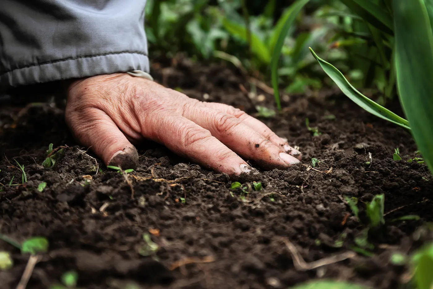 touch soil