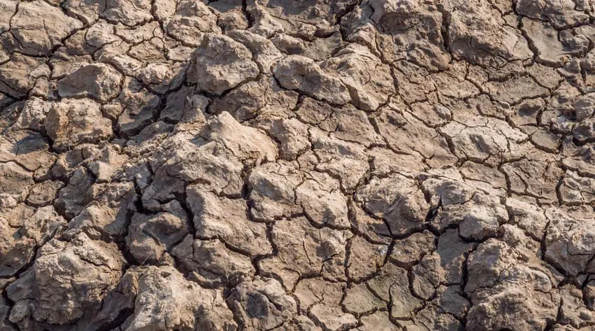 Clayey soils