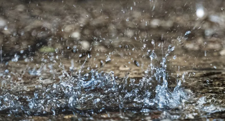 water droplets