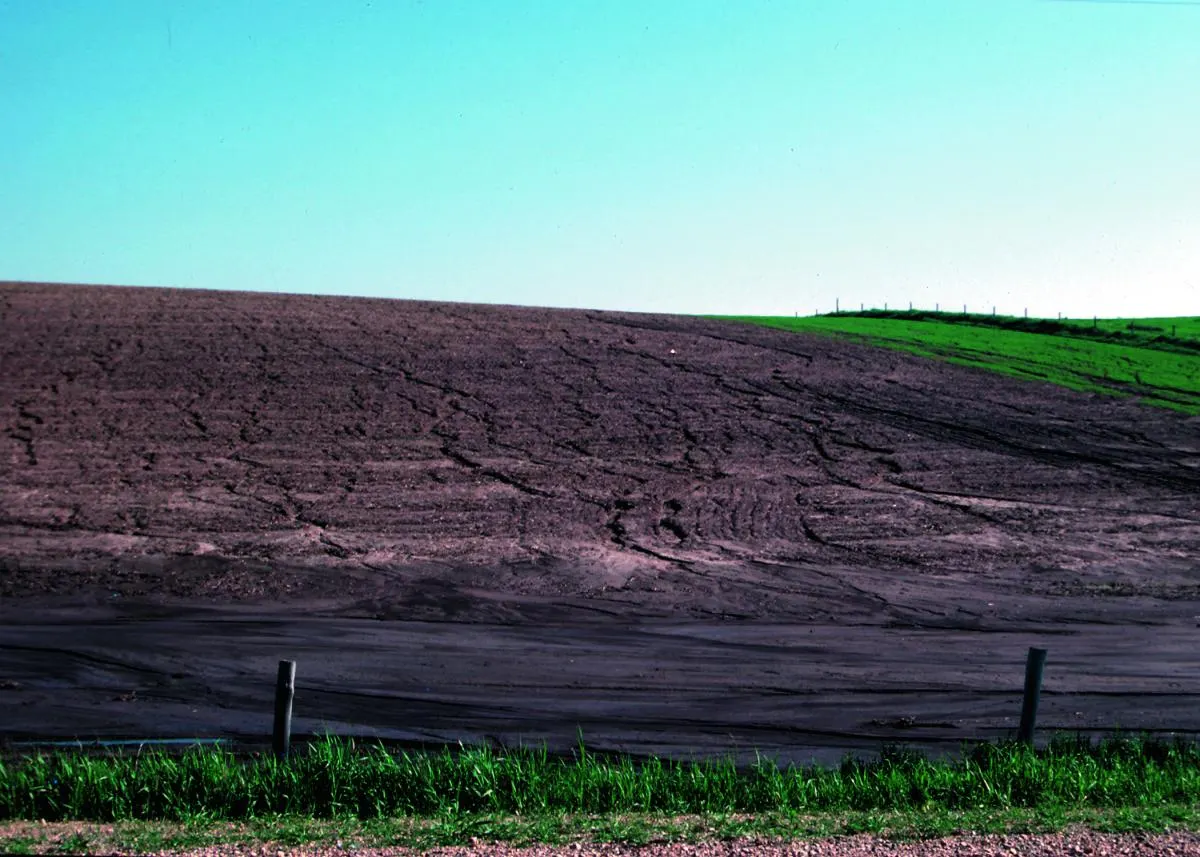 Rill erosion