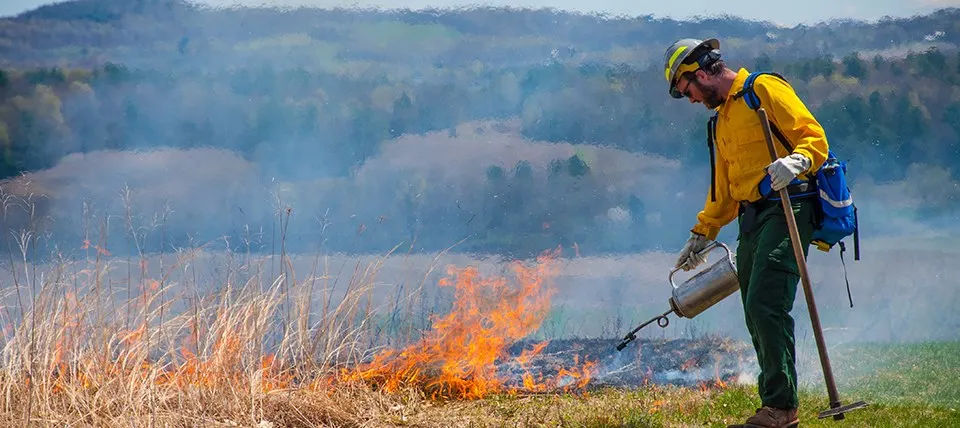 Prescribed burn