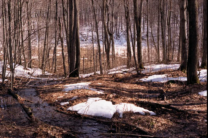 Melting Snow