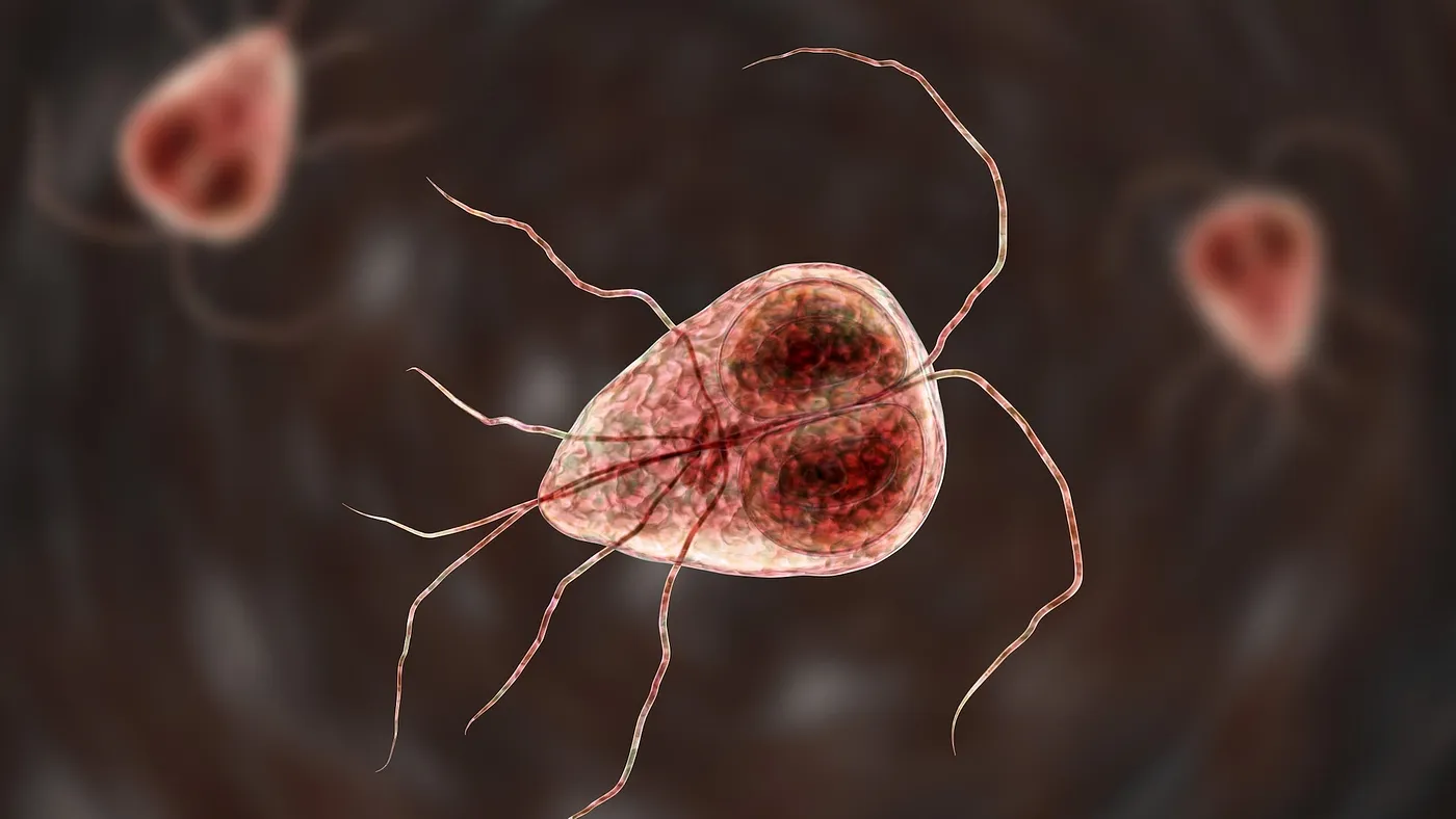 Parasite